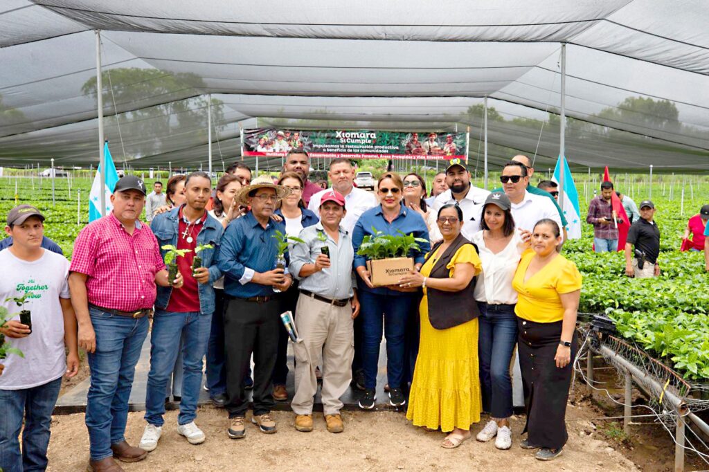 Imagen de WhatsApp 2025-07-29 a las 17.35.45_f3c90399