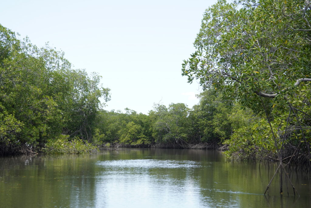 _DSC9015.JPG